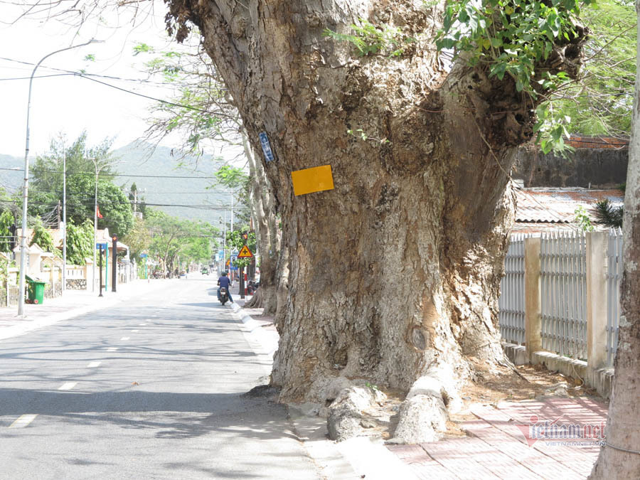 Nhận định, soi kèo Shams Azar với Mes Rafsanjan, 18h30 ngày 28/2: Tin vào chủ nhà