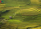 CNBC names Mu Cang Chai among top travel destinations of 2020