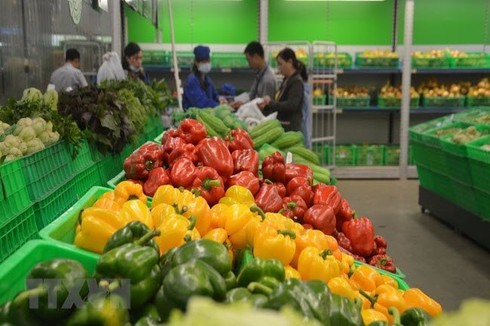 2019: Rocky year for local vegetable exports to China