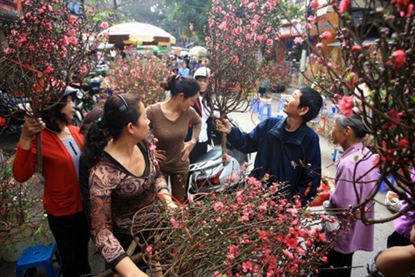 Hanoi to apply street ban for spring flower market