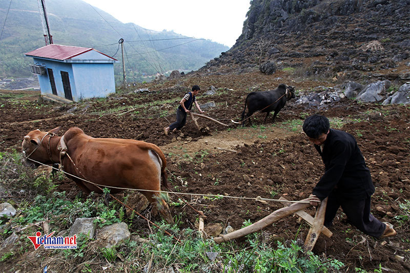 Huyện Tiên Yên: Lao động qua đào tạo đạt gần 2 vạn người