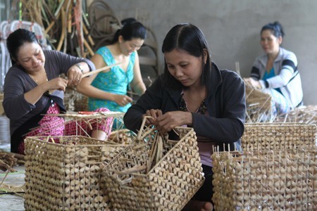 Hậu Giang mở 171 lớp đào tạo nghề nông thôn theo đề án 1956