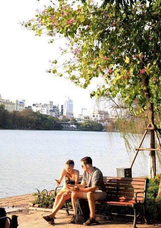 Mountain ebonies adorn Hanoi city centre