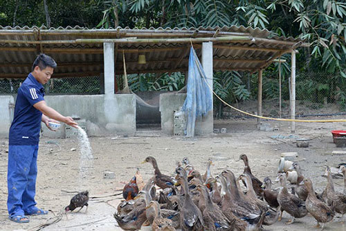 Tuần Giáo hướng đến nông thôn mới bằng đào tạo nghề cho lao động nông thôn