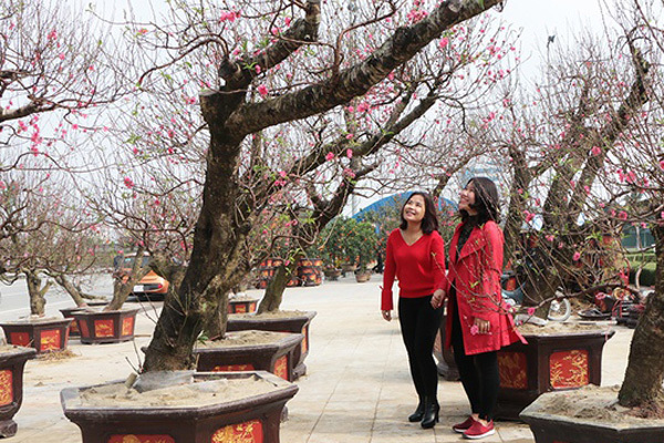 Nghe VietNamNet: Thời tiết Tết nguyên đán Canh Tý 2020: Miền Bắc có nơi rét đậm