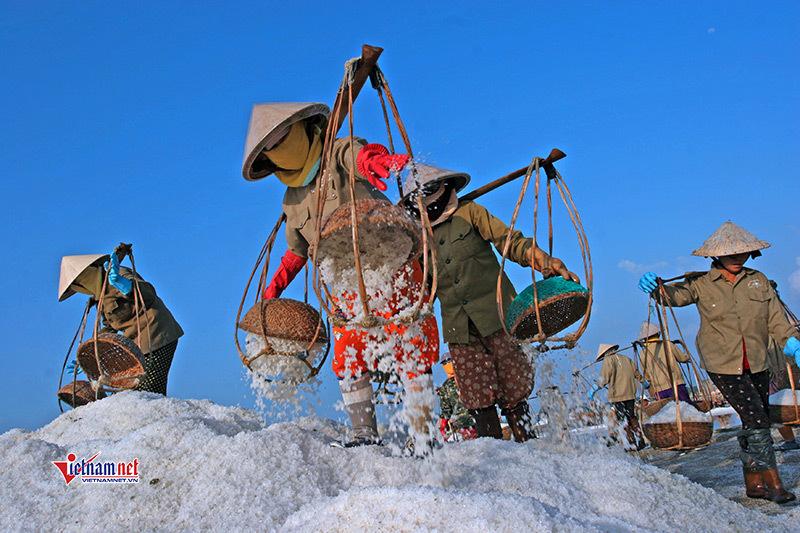 Thanh Hóa chú trọng đào tạo nghề cho phụ nữ nông thôn theo đề án 1956
