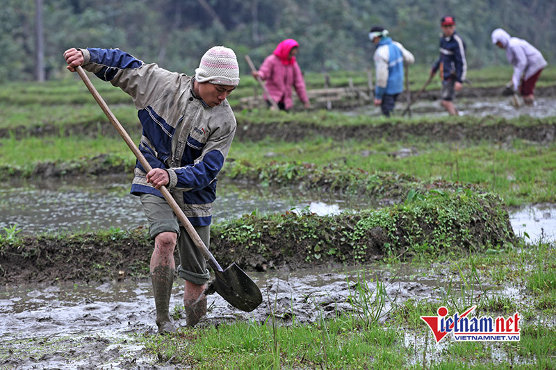 Bắc Giang: Lao động nông thôn được đào tạo nghề nuôi cá nước ngọt
