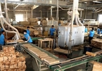 Wood processing industry targets $20 billion in exports by 2025