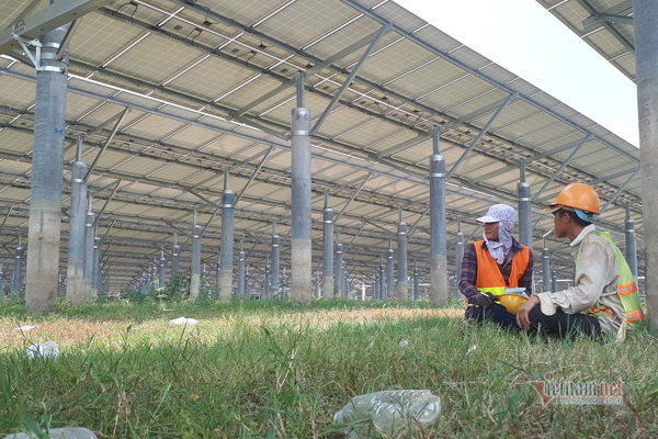 Chuyển nhượng vốn dự án điện mặt trời: Chuyện bình thường