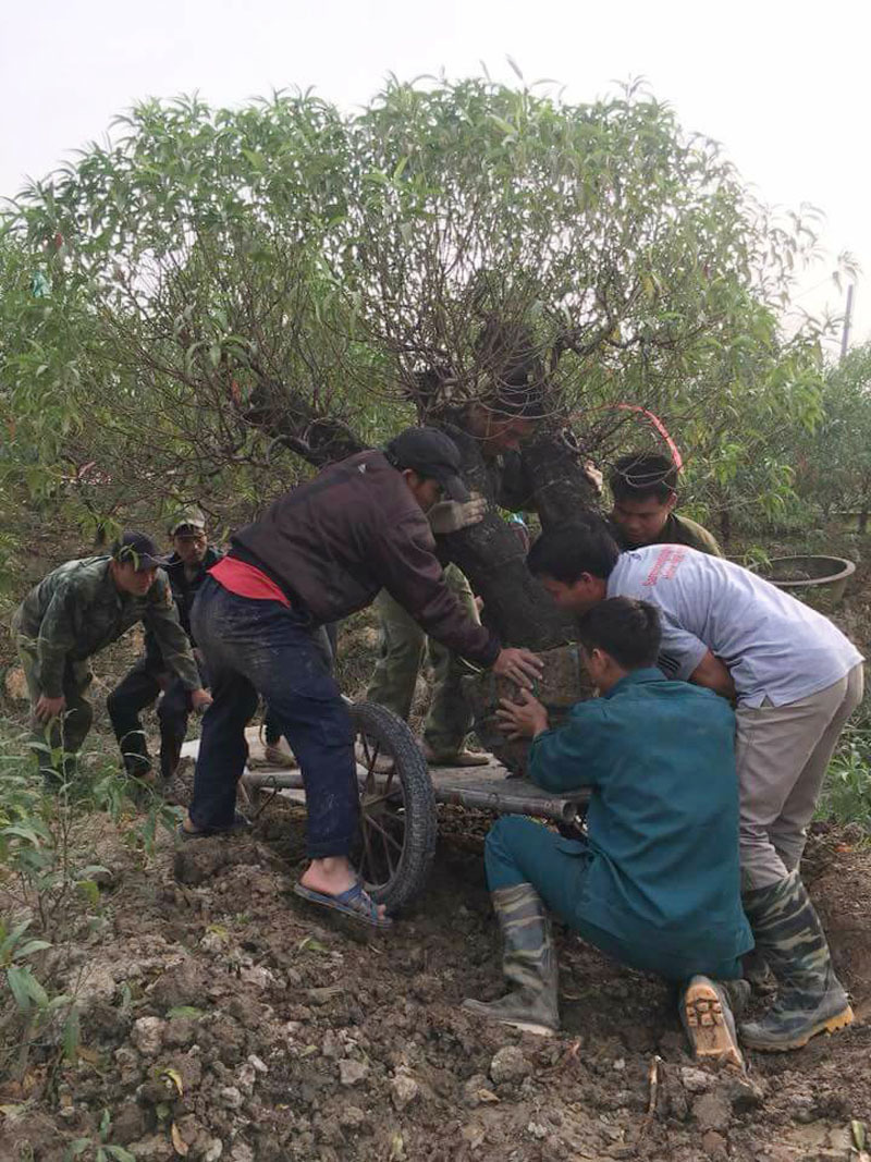 Nhận định, soi kèo Chadormalou Ardakan vs Darya Babol, 23h15 ngày 10/6: Khó thắng