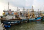 Tàu cá nằm bờ thoi thóp, Bình Định báo cáo Thủ tướng