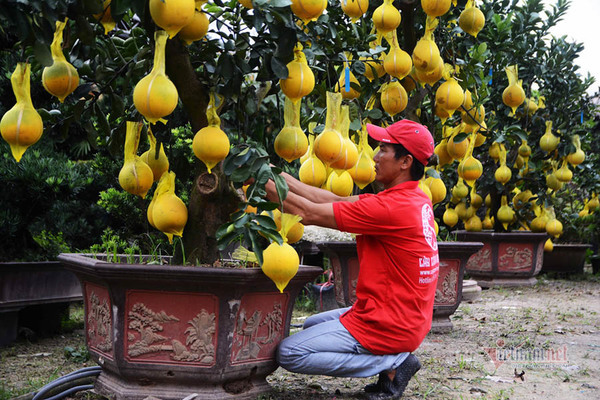 Xe Trung Quốc và tham vọng vươn sang phương Tây