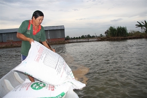 VN cracks down on use of banned substance in fish food