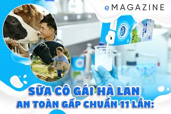 Bí quyết vượt chuẩn an toàn của sữa tươi Cô Gái Hà Lan