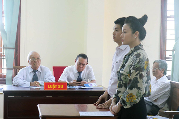 Tình tiết mới vụ Nhật Kim Anh và chồng cũ tranh chấp quyền nuôi con