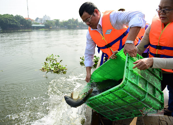 Né quân chích điện, thuê ghe ra giữa sông thả tạ cá ngày ông Công ông Táo