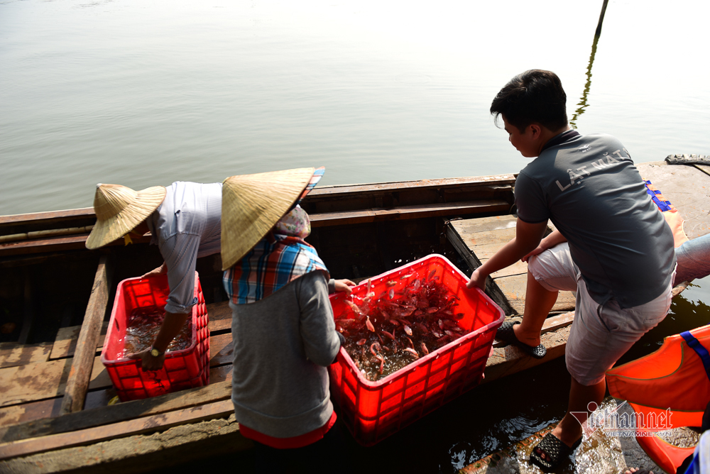 Né quân chích điện, thuê ghe ra giữa sông thả tạ cá ngày ông Công ông Táo