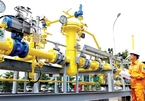 Japanese gas firm buys 21% in PV Low Pressure Gas