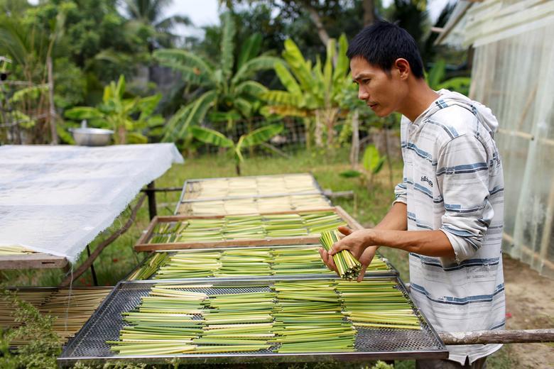 Ống hút làm từ cỏ của chàng trai Việt được báo Anh khen ngợi