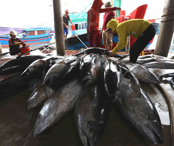 Localities face difficulties in controlling fishing vessel operations