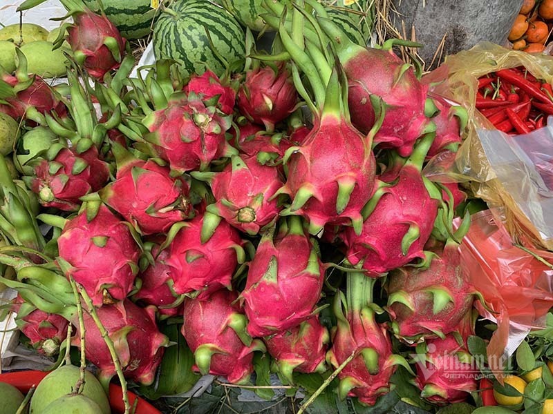 Hàng vip ‘dội chợ’ Hà Nội, thanh long đỏ giá 4.000 đồng/kg