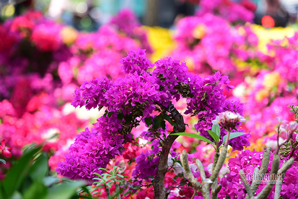 Những lời chúc Tết hài hước cho bạn bè, đồng nghiệp