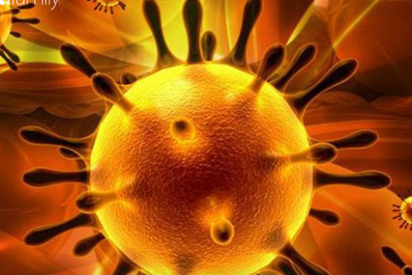 Virus corona là chủng virus SARS sau nhiều năm biến đổi?