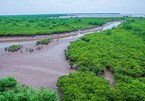 Exploring nine Ramsar sites of Vietnam