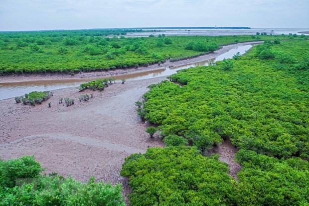 Exploring nine Ramsar sites of Vietnam