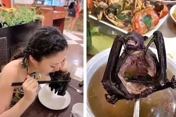 Món đặc sản nghi có thể truyền virus corona gây dịch viêm phổi chết người