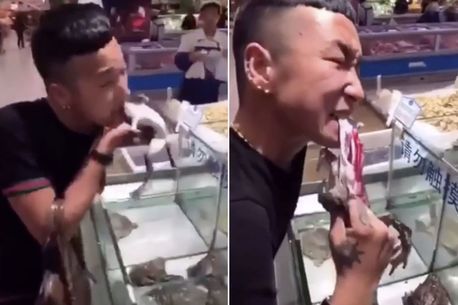 Hãi hùng người đàn ông ăn ếch sống giữa 'bão' virus corona