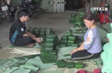 Vinh Hoa villagers awake all day for making chung cakes