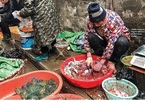 Có gì bên trong chợ hải sản Hoa Nam, nơi bùng phát virus corona