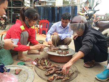 Nơi người dân 'mê' thịt chuột hơn thịt gà ở Hà Nội