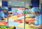 Vietnam needs more input materials to export more cashew nuts