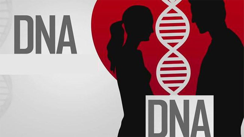 Chuyện lạ thế giới, mai mối qua xét nghiệm DNA