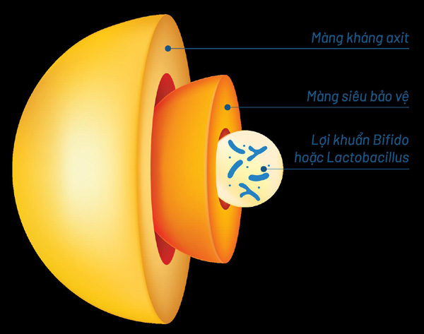 Nguồn động viên lớn từ hậu phương