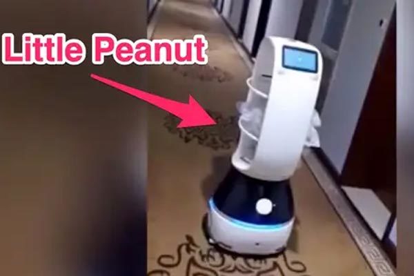 Dùng robot đưa thức ăn cho người bị cách ly vì virus Vũ Hán