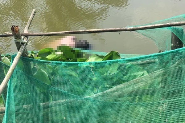 Bạc Liêu thông tin vụ thi thể 2 cha con người Trung Quốc nổi dưới sông