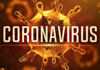 Chuyên gia cảnh báo: Virus corona thích lạnh nhưng nắng nóng vẫn lây lan