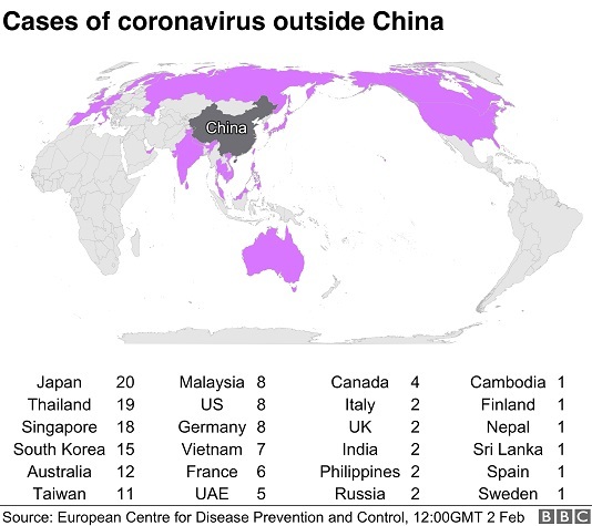 Coronavirus: What it does to the body