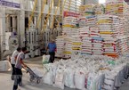 Vietnam's rice exports to Philippines in 2019 surge