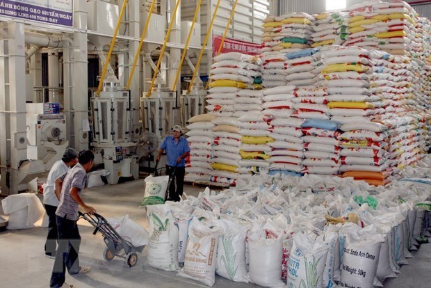 Vietnam's rice exports to Philippines in 2019 surge