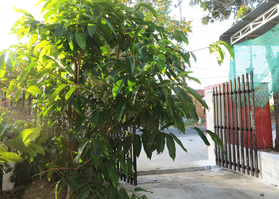 Anh em chồng trả tôi 3 triệu đồng/tháng để làm osin cho họ