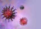 WHO công bố tên chính thức của virus gây bệnh Covid -19