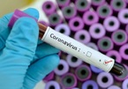 Vietnam records 12 coronavirus infection cases