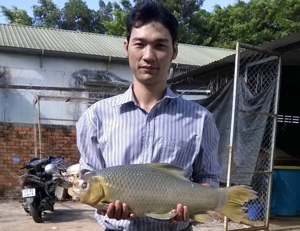 Nuôi loài cá sắp tuyệt chủng, quý hiếm trên sông Sêrêpốk