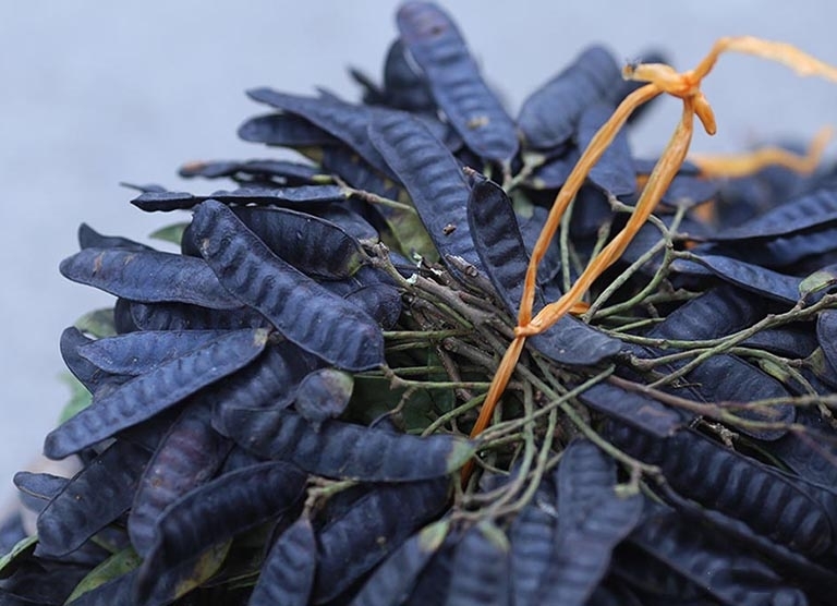 Bồ kết bất ngờ lên cơn sốt, dân đua nhau mua xông nhà