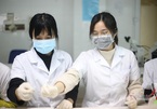 Các nhà khoa học VN bắt đầu thử nghiệm thuốc điều trị bệnh từ virus corona