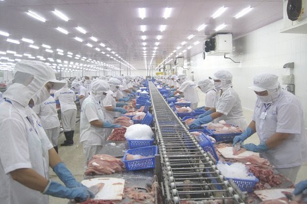 Tra fish industry may fully recover in Q3: directorate